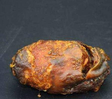 罕见珍贵鸡宝价值不菲_市场_中药材_含量