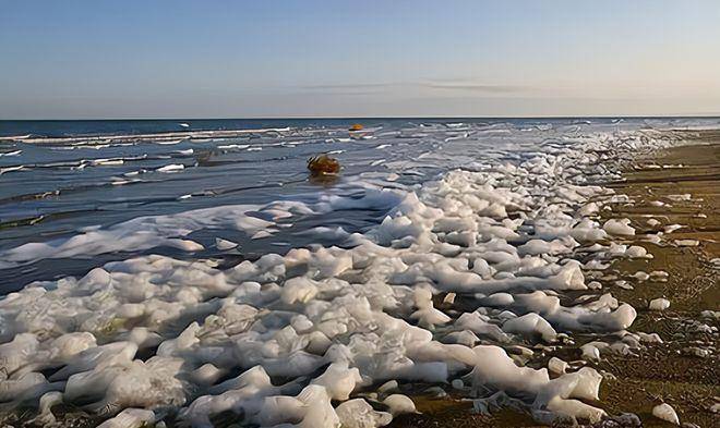 苏联修建卡拉库姆运河,为何导致咸海萎缩?_中亚_地区_农业