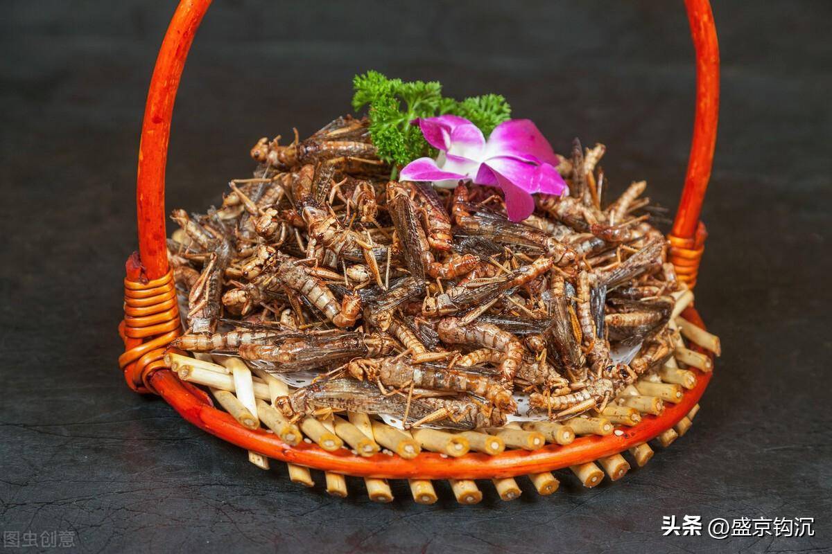 炸蚂蚱天津人最好吃烙饼炸蚂蚱了,那可是天津的名吃小吃.