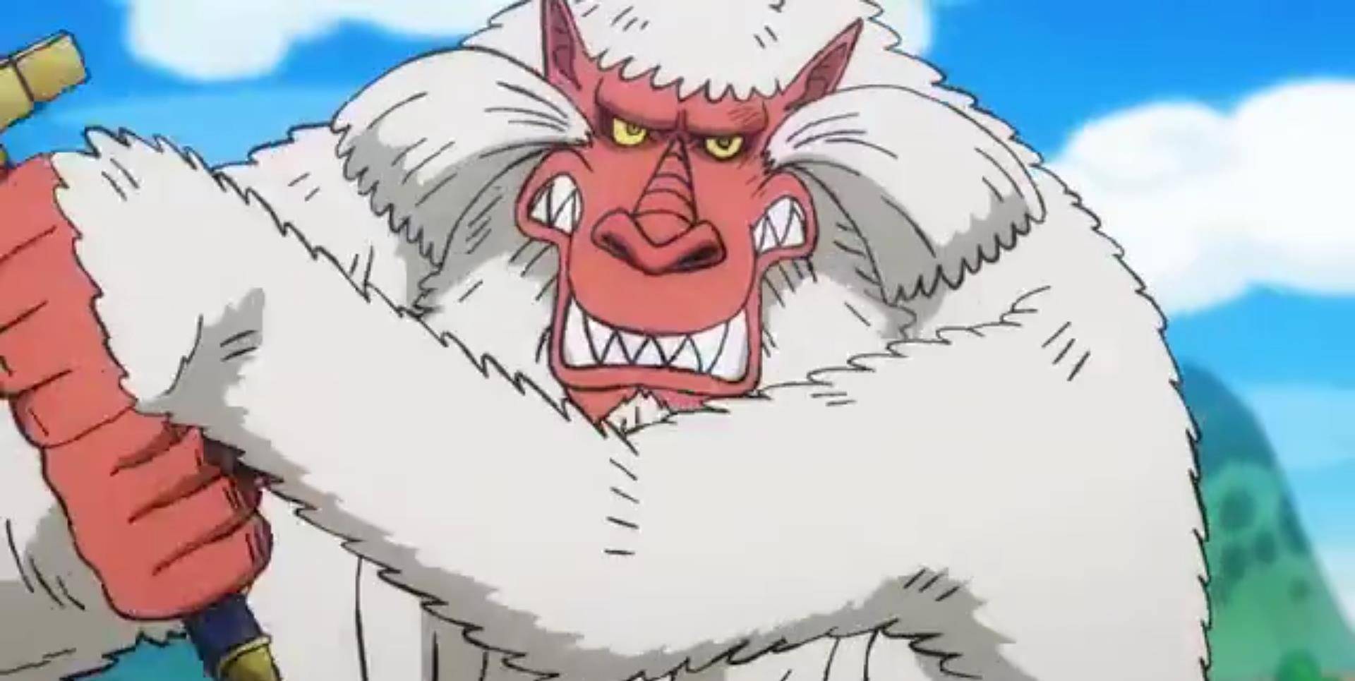 和之国流行坐骑,路飞骑大狗,他骑四不像_霍金斯_索隆_狒狒