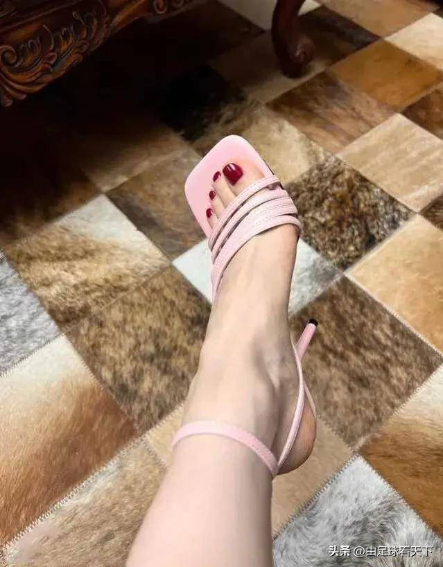 此外还有日耳曼脚,凯尔特脚等!