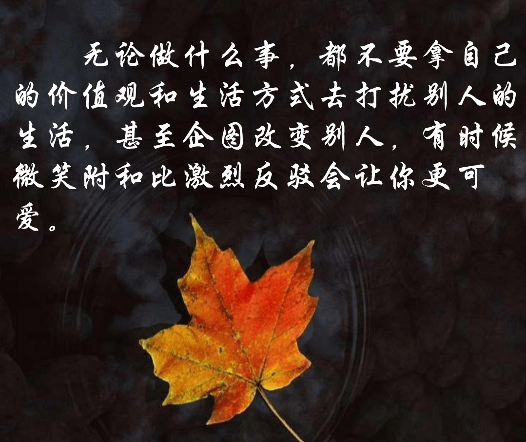 "狗尾草"也能迎来幸福的人生之秘诀:不服输,不认输,不想输_生活_父母