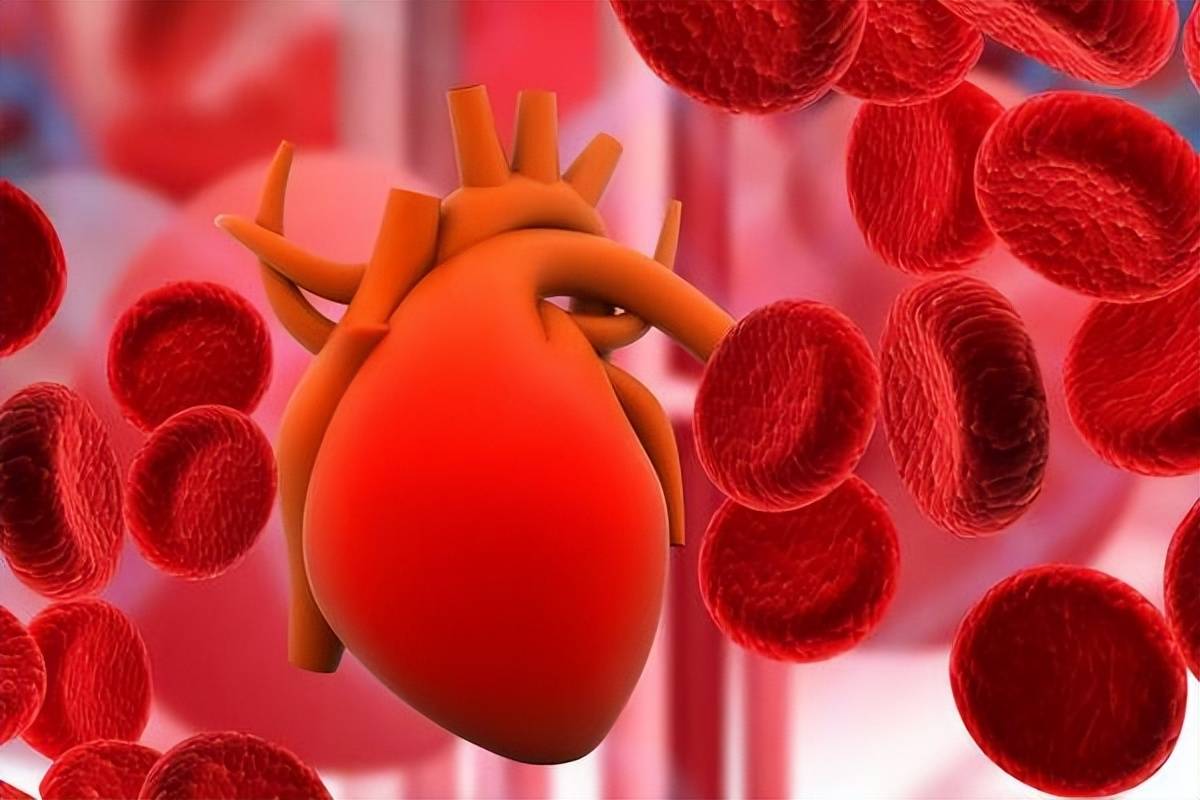 血栓对身体有哪些危害 哪个动作有效降低静脉血栓发生风险