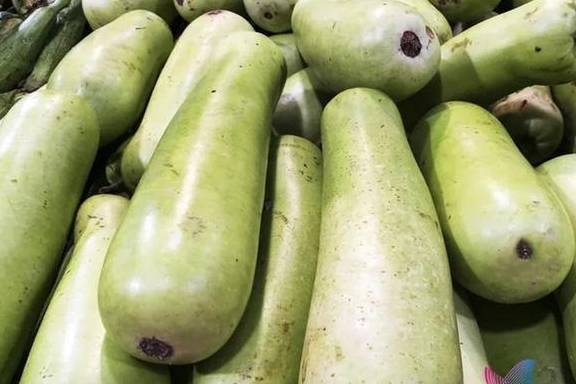 这种"苦",吃不得_葫芦瓜_食用_食物