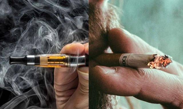 为证明吸烟无害,英国烟草公司用48只狗做实验:3年每天抽100根烟_香烟