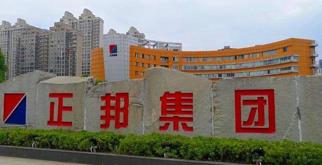 正邦科技_林印孙_企业