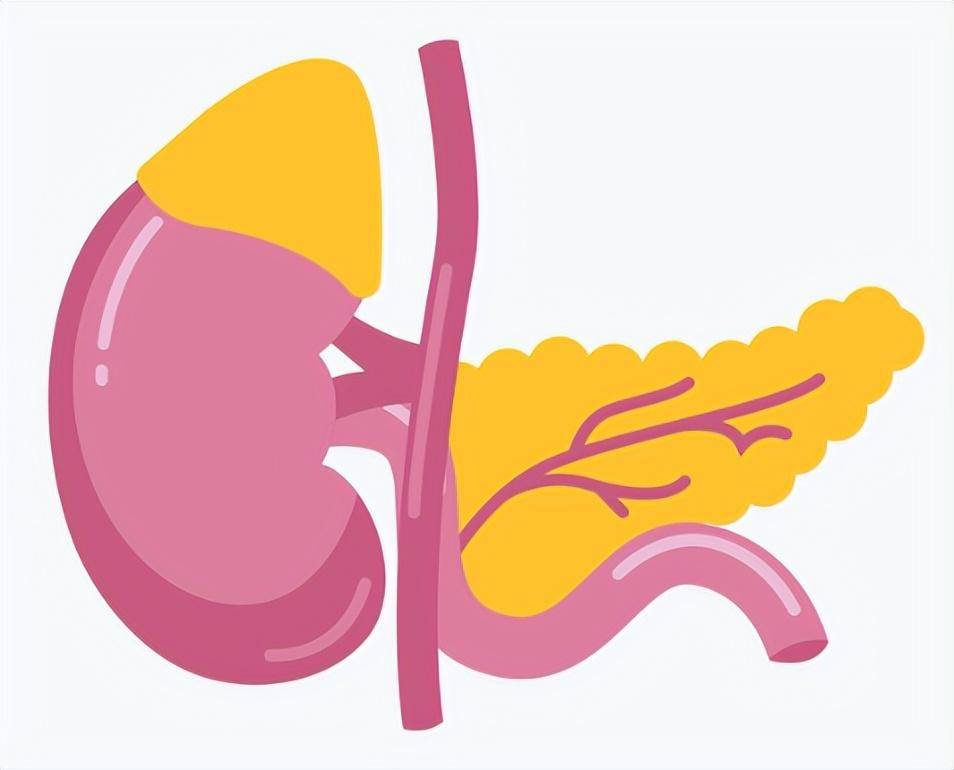 刘亦菲新剧中闺蜜因胰腺癌去世,胰腺癌为何难治?该如何预防?