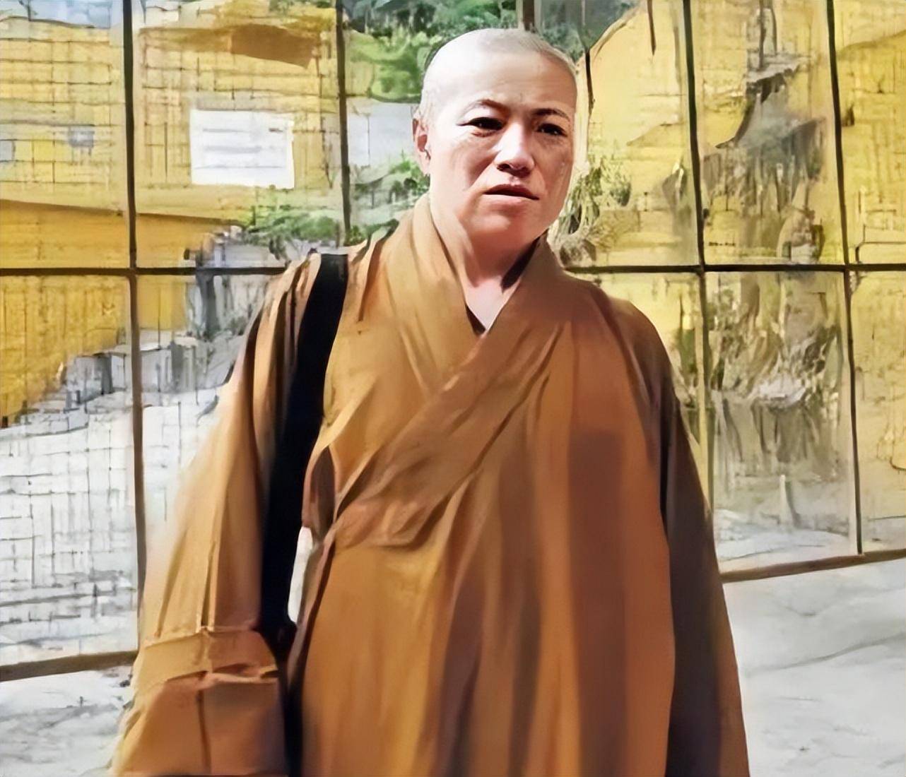 数年后初慧大师圆寂,释智定顺利成为住持,从此开始了备齐初心的疯狂