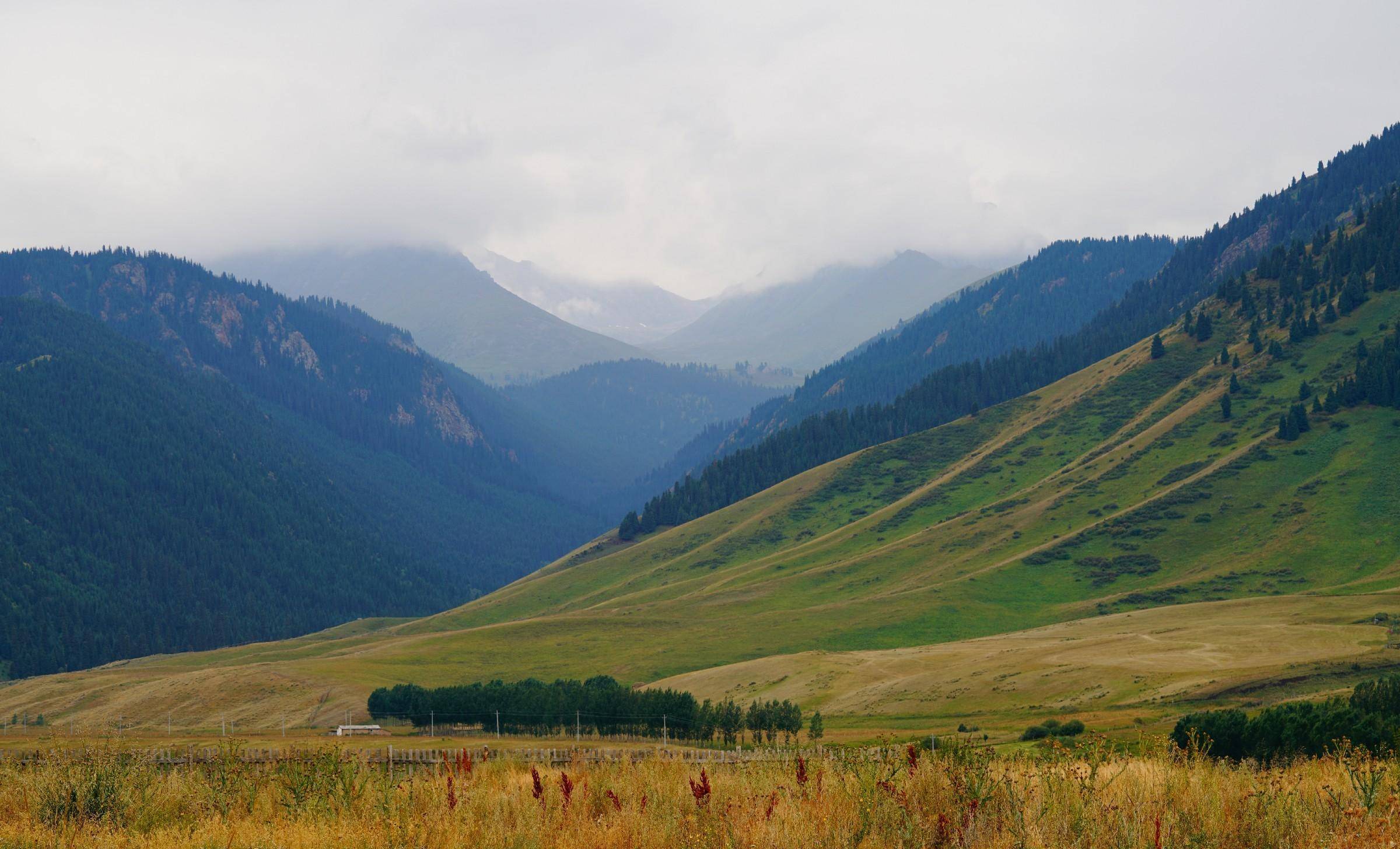 新疆旅游打卡地之十九-我在昭苏等你来_夏塔_昭苏县_湿地