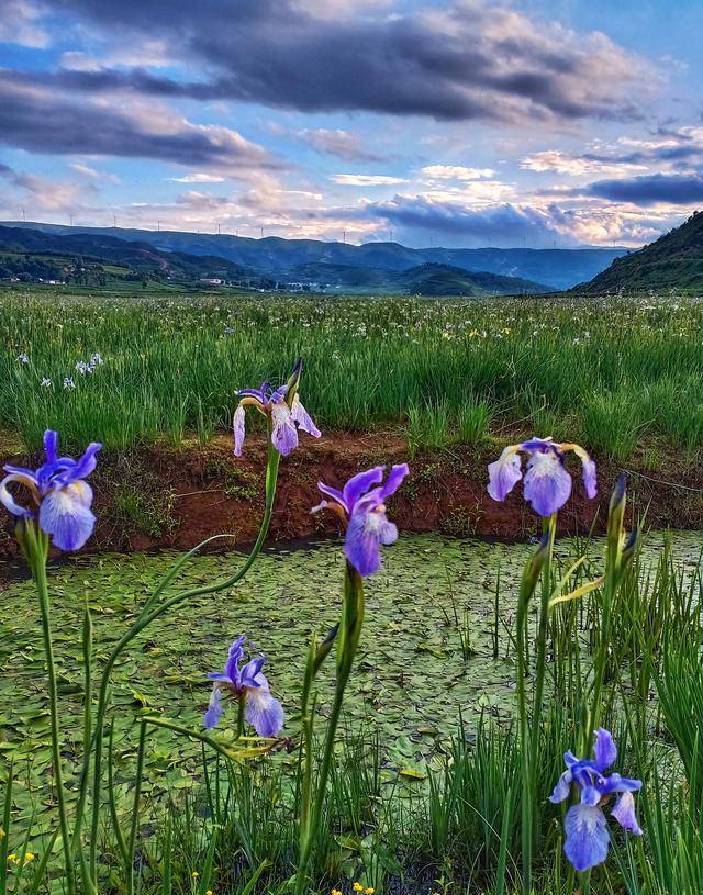 布拖乐安湿地:四川第二大湿地,十大最具人气高原湿地之一