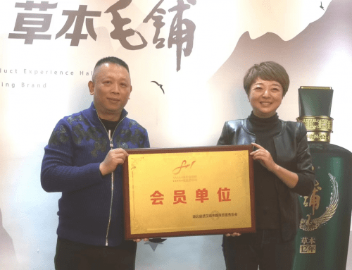 湖北省武汉城市圈商贸服务协会领导一行走访会员企业(图3)
