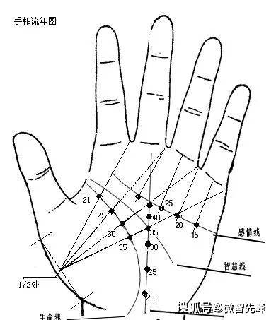 感情线的年龄代表图图片