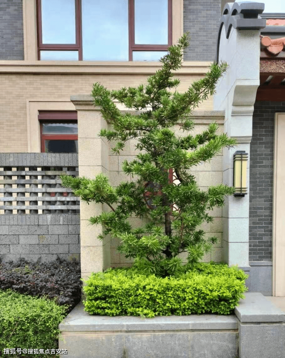 惠州金裕岭南美墅岭南院子【首页】惠州金裕岭南美墅岭南院子售楼电话