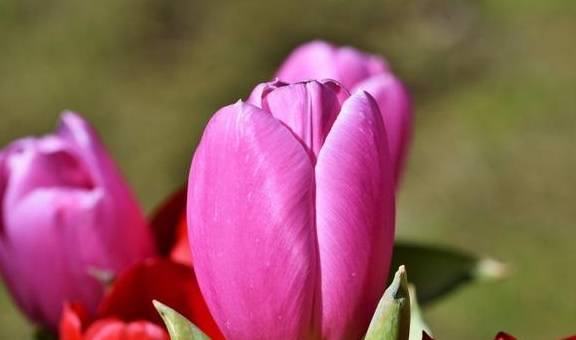 3月初,爱神助力,情投意合,爱情开花结果,4大星座有望步入殿堂_机会