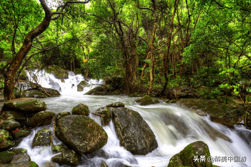 暢遊清溪森林公園,領略壯美的黃茅田瀑布,植被繁茂,溪澗縱橫_景區