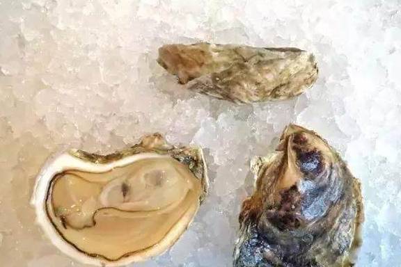 熊本生蚝、西雅图奶油生蚝……美国**生蚝大赏！(图22)