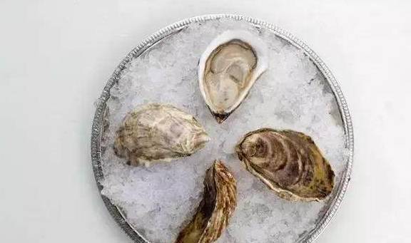 熊本生蚝、西雅图奶油生蚝……美国**生蚝大赏！(图7)