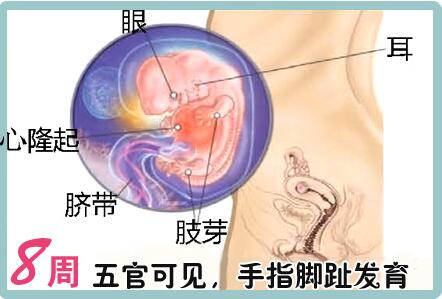 这都可以（怀孕化验单制作 整蛊）怀孕的化验单子图片 做假 第4张