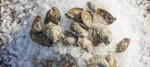 熊本生蚝、西雅图奶油生蚝……美国**生蚝大赏！(图17)