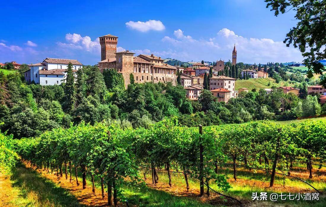 意大利葡萄酒:关于巴贝拉的那些事儿_产区_阿斯蒂_barbera