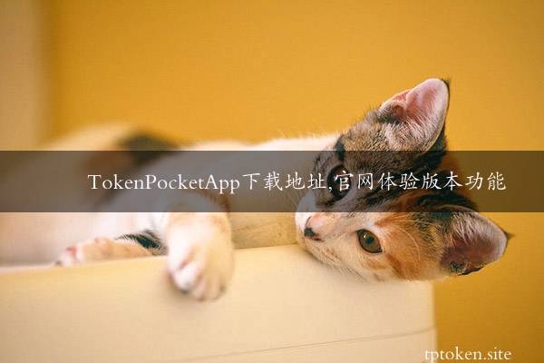 TokenPocketApp下载地址,官网体验版本功能插图