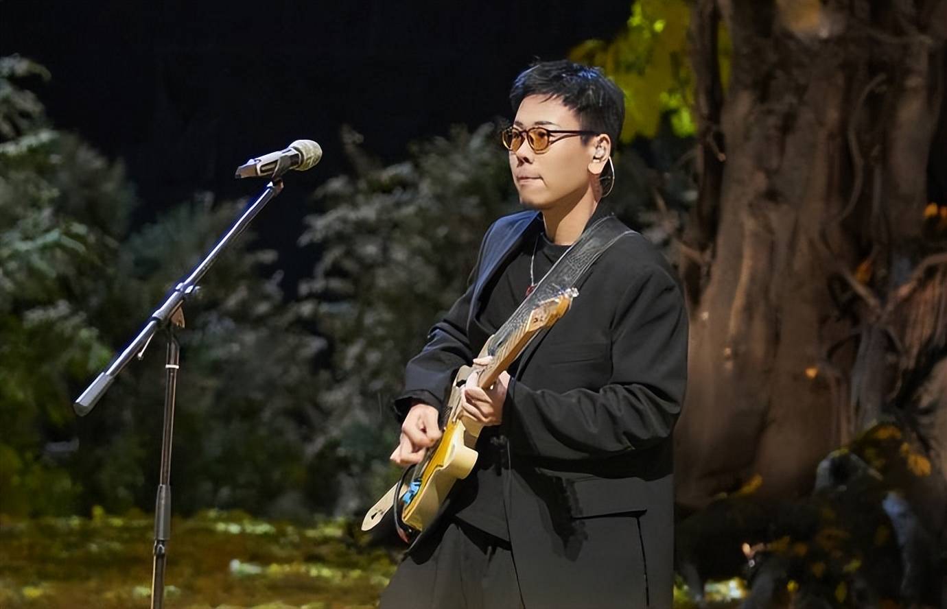 时光音乐会2:田震专场口碑爆棚,何炅惊喜现身,《野花》大合唱感动全场