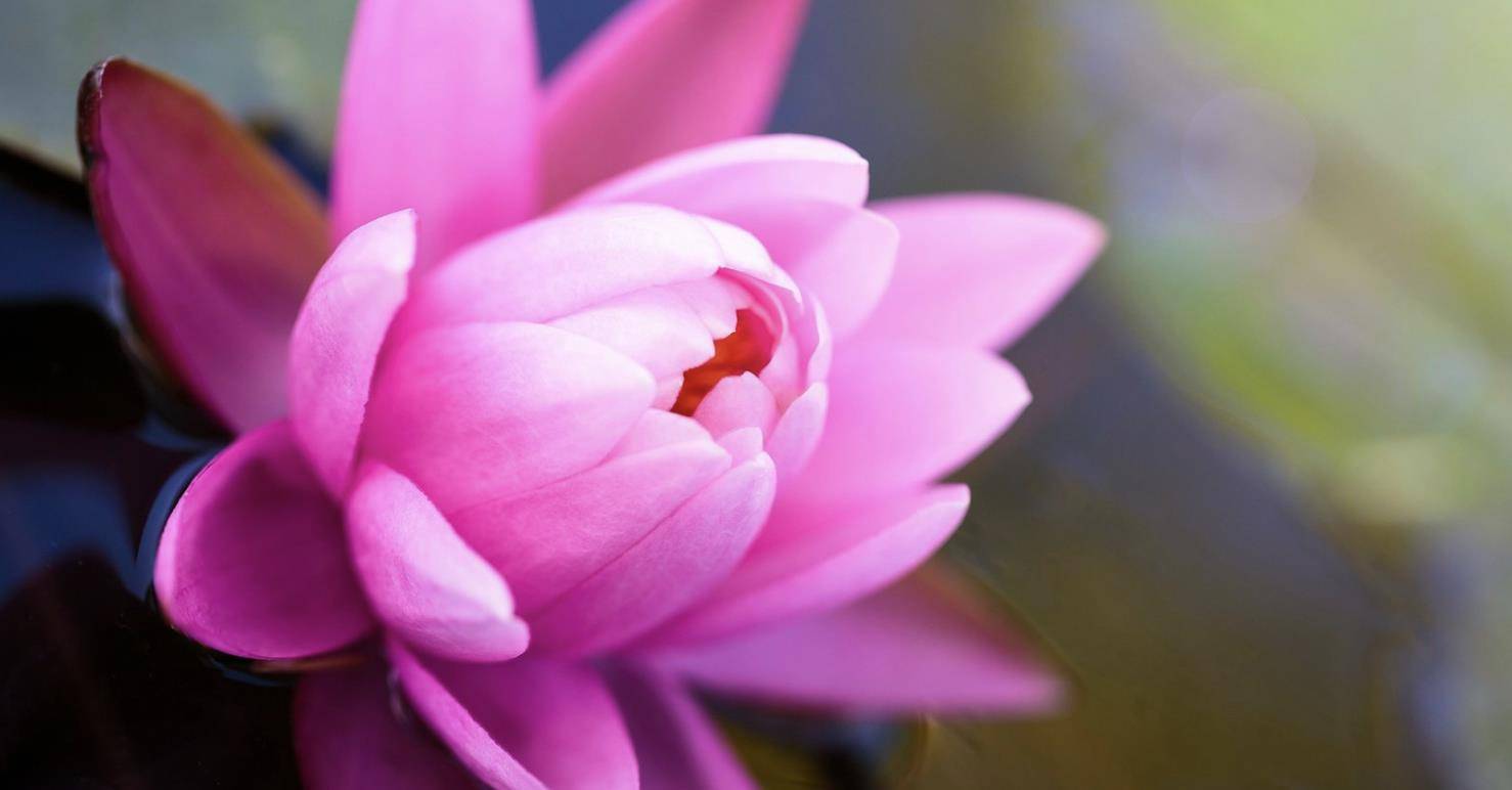 2月底,爱在当下,有始有终的3个生肖,心有所属,情有所依,共赴白头_成功