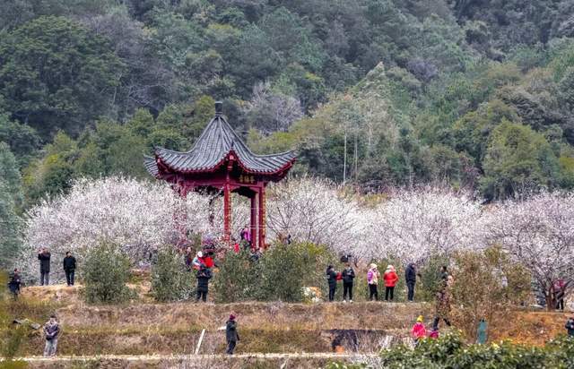 【地理位置及特點】獅賽鎮位於蒼梧縣西部,東臨六堡鎮,南連京南鎮,西