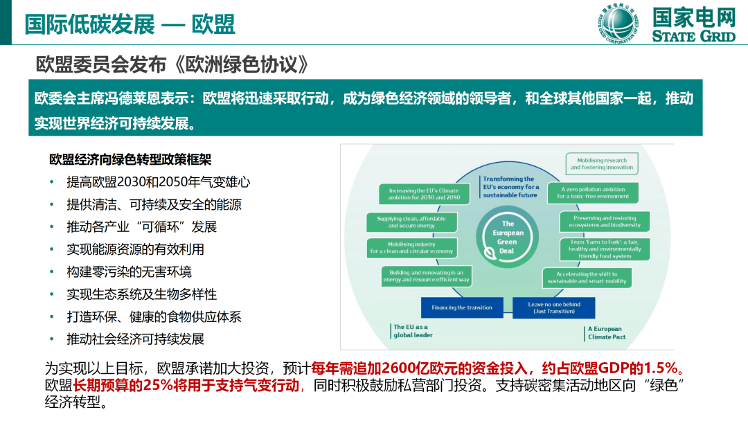 国网研究：实现双碳目的国际经历有哪些，中国采纳哪种计划更好？附PPT