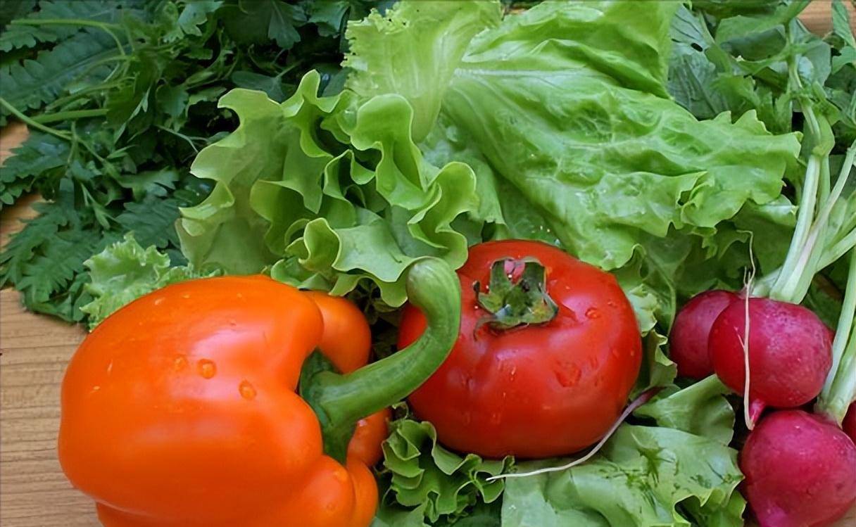 最近回到农村老家,常听到一句老话,叫春食三草不就医.具体是什么意思?