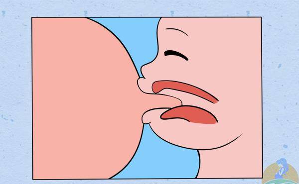 正常情况下,宝宝在吃奶的时候嘴巴衔乳,会把舌头垫在下牙床上,起到