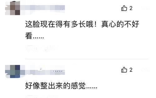 李小璐怎么又变脸了？网友：毫无辨识度的网红脸