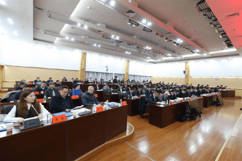 风华正茂展英姿 - 武汉市洪山区青年民营企业家联合会成立(图6)