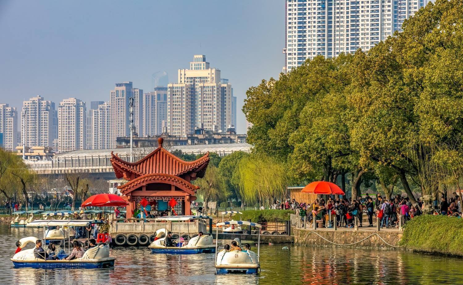 它是武汉城市的起源之地,藏着一个动物世界,门票最低10块钱_老虎_草原