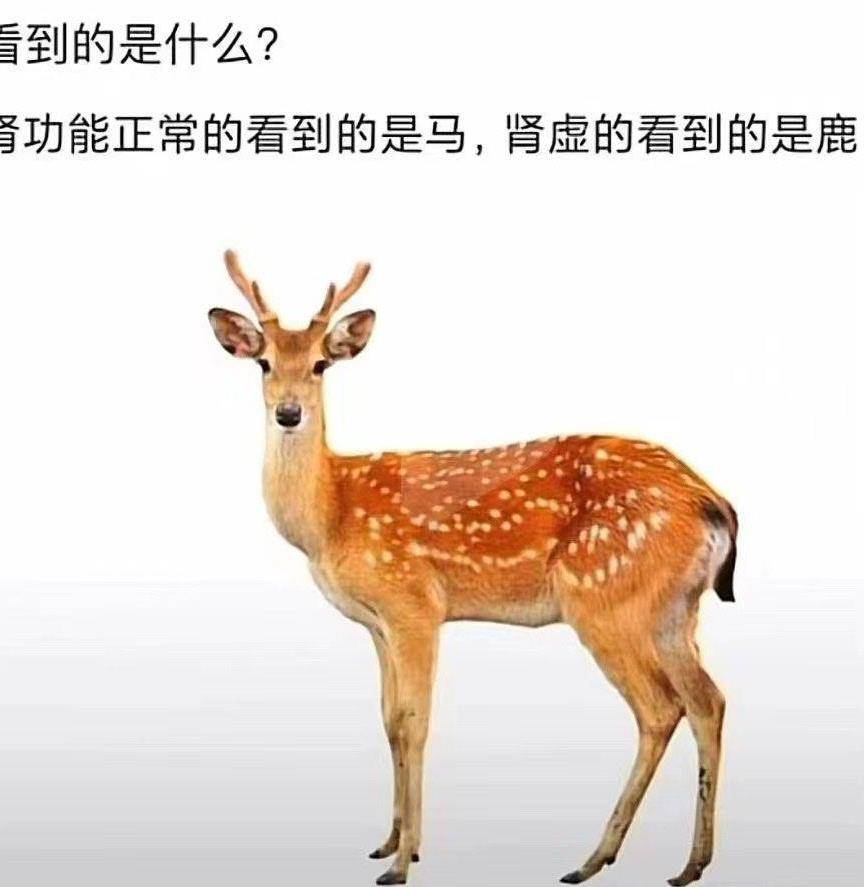 今日嘲笑话：不要用本身的兴趣喜好去挑战他人的专业