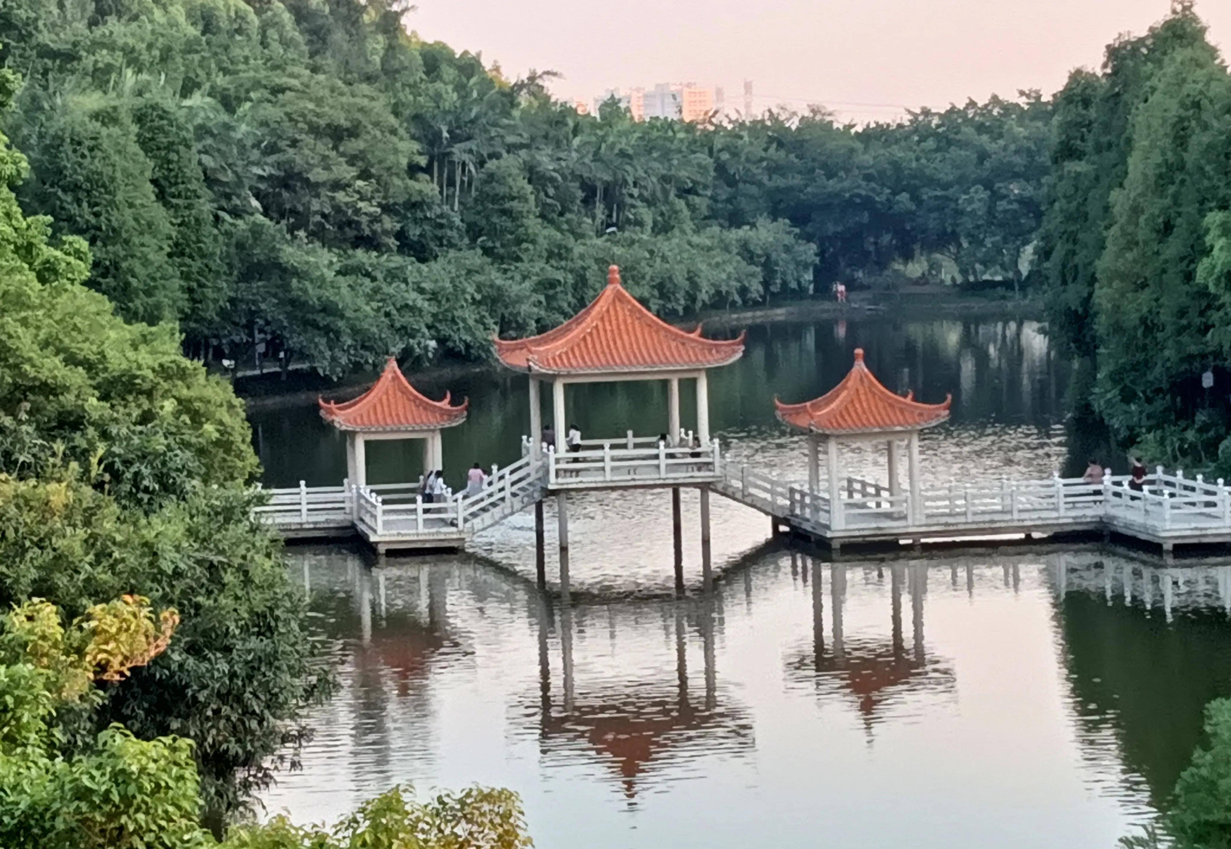 顺德均安藏有一个风景优美的地方,很多人周末都到这里来打卡