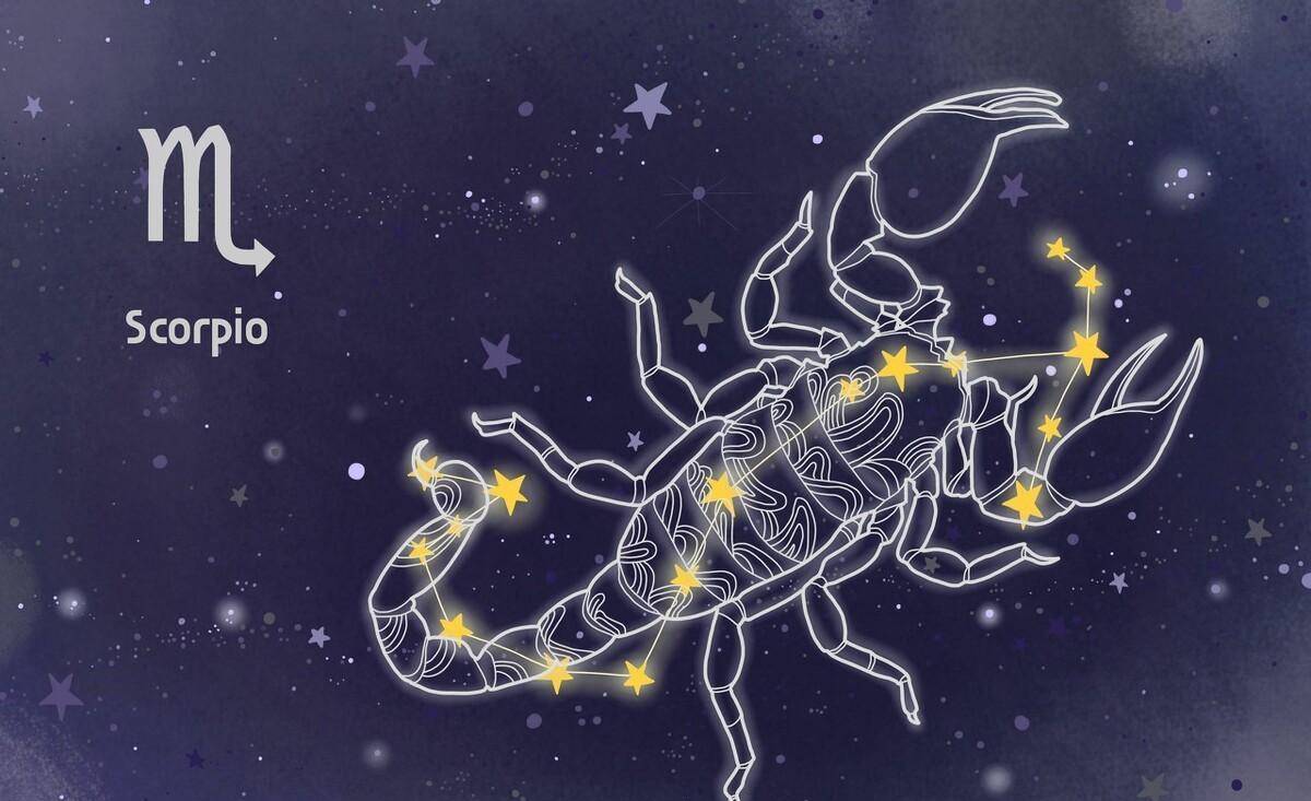 蝎子外文名 scorpius