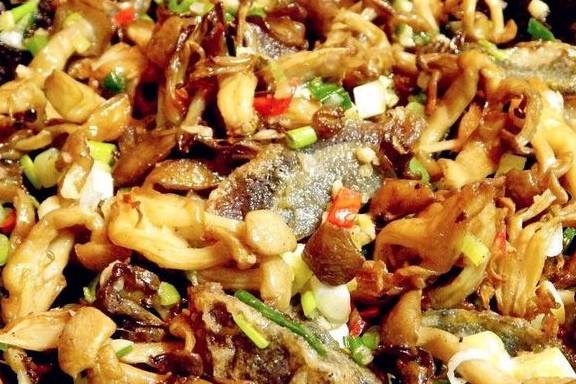 这些蘑菇你都认识吗？混搭起来虽然不好看，但是香辣鲜美非常下饭(图4)