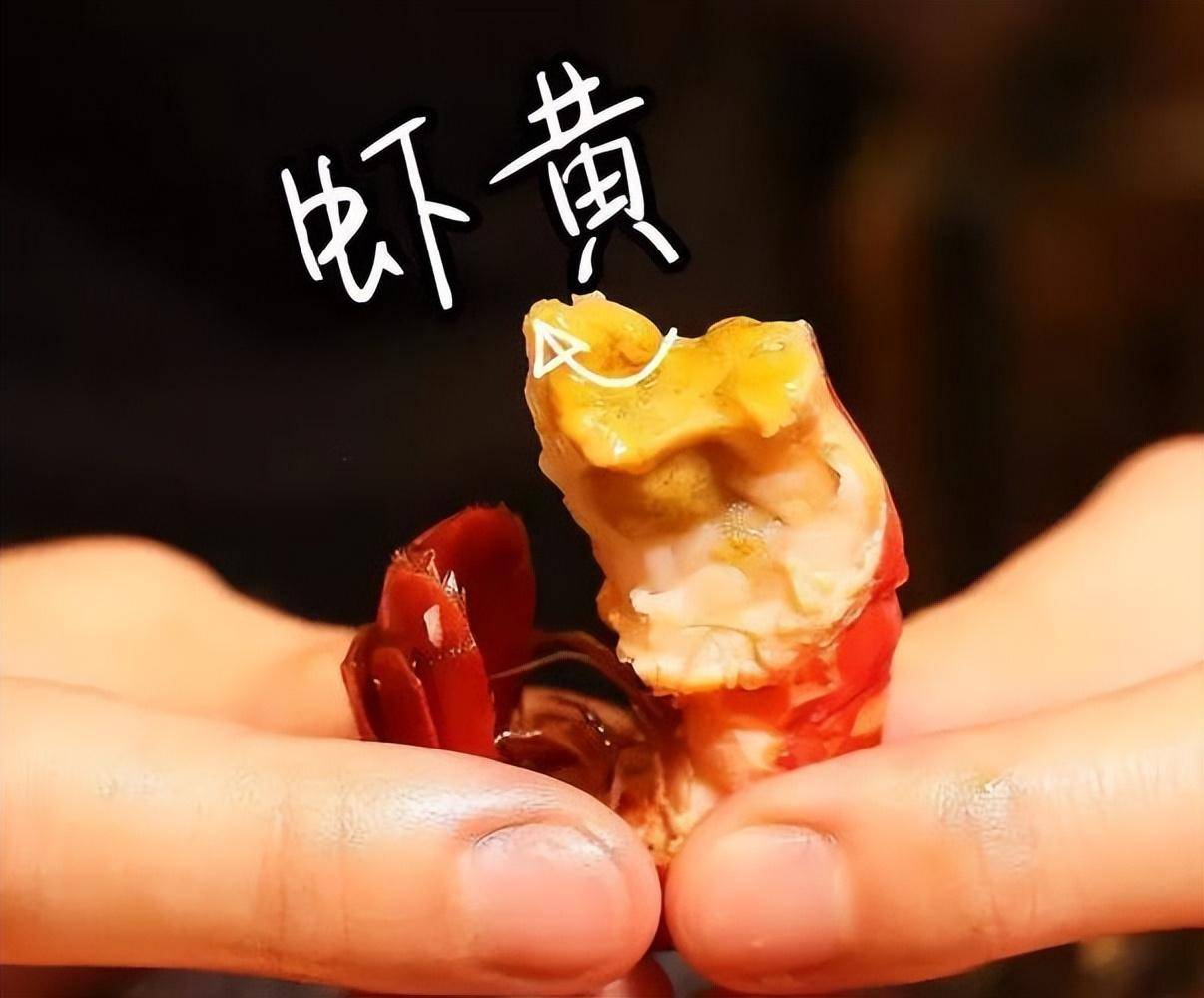 小龙虾的虾黄,到底是"精华"还是"粑粑"?