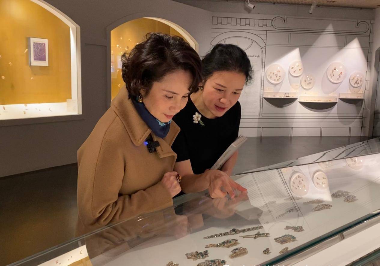 说了年龄,徐俐作为央视退休主持,年纪够大了吧,可是姐姐退休后反而有