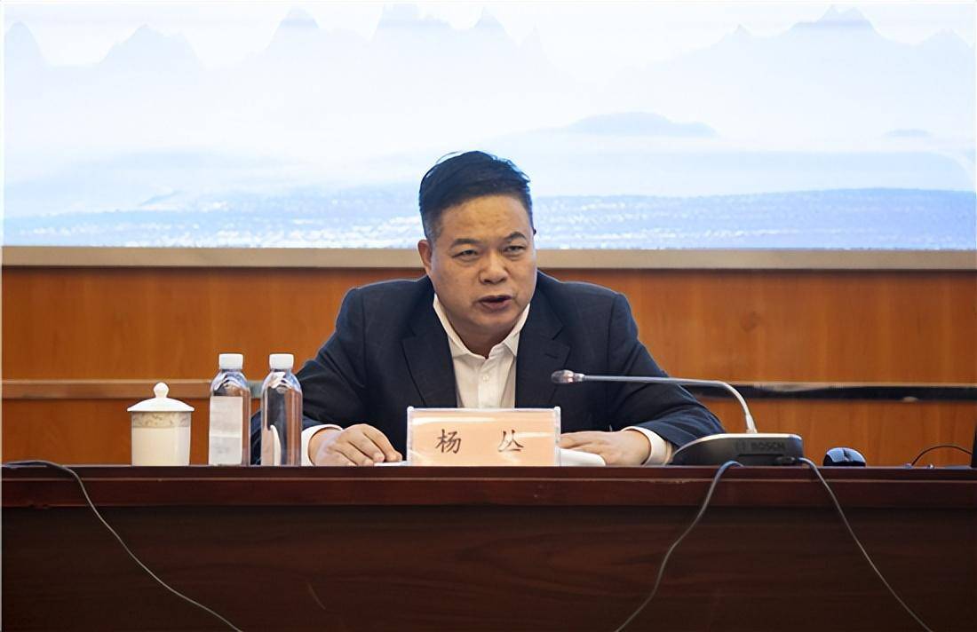 在活动现场,广西壮族自治区人民政府发展研究中心党组书记,主任杨丛