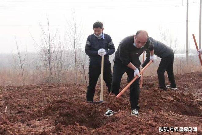 义马市工业信息化和科技局：义务植树用心用情鞭策绿色开展