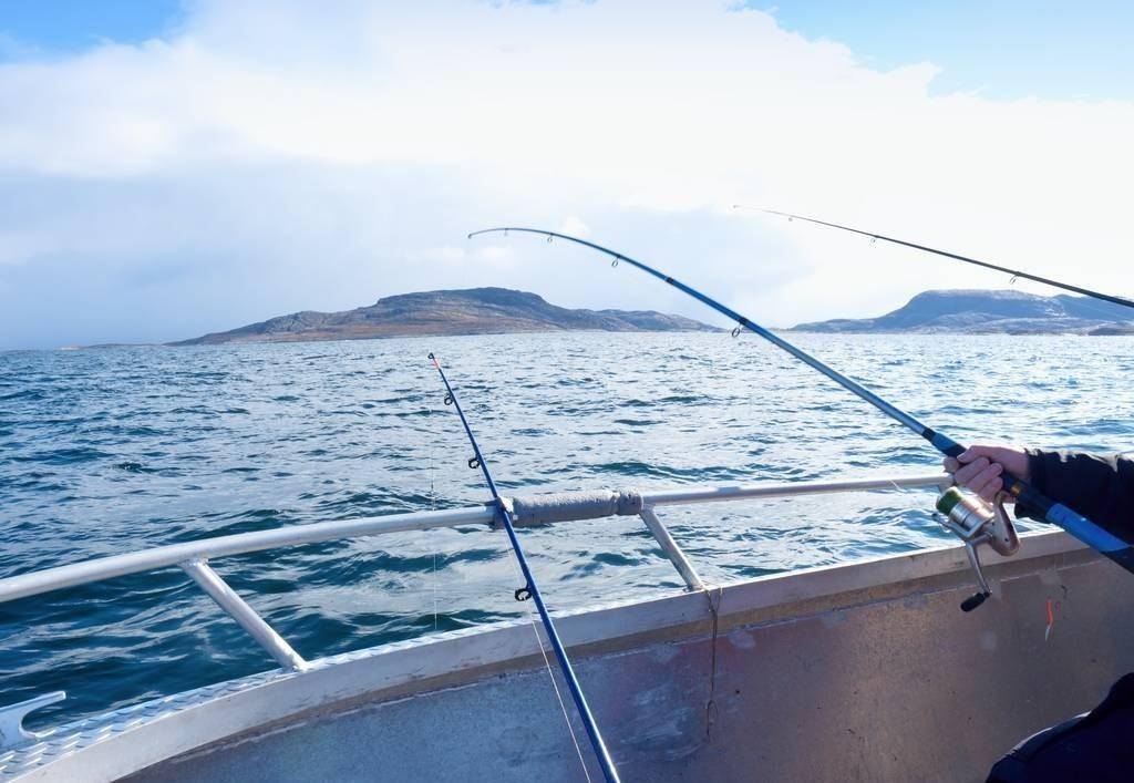 随心|一边领略大海的绚丽一边体会海钓的魅力—近海船钓攻略_淡水钓