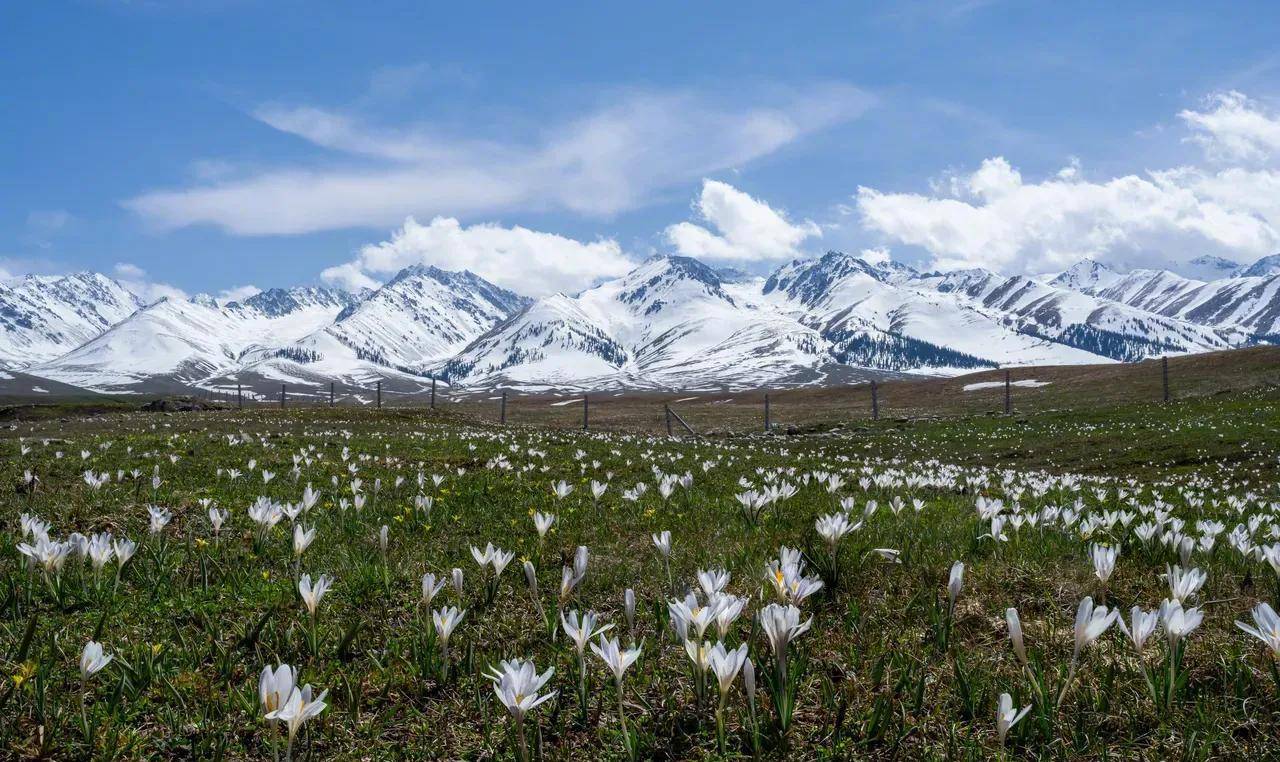 去有风的地方，去有云的地方(有风景的地方就有诗)