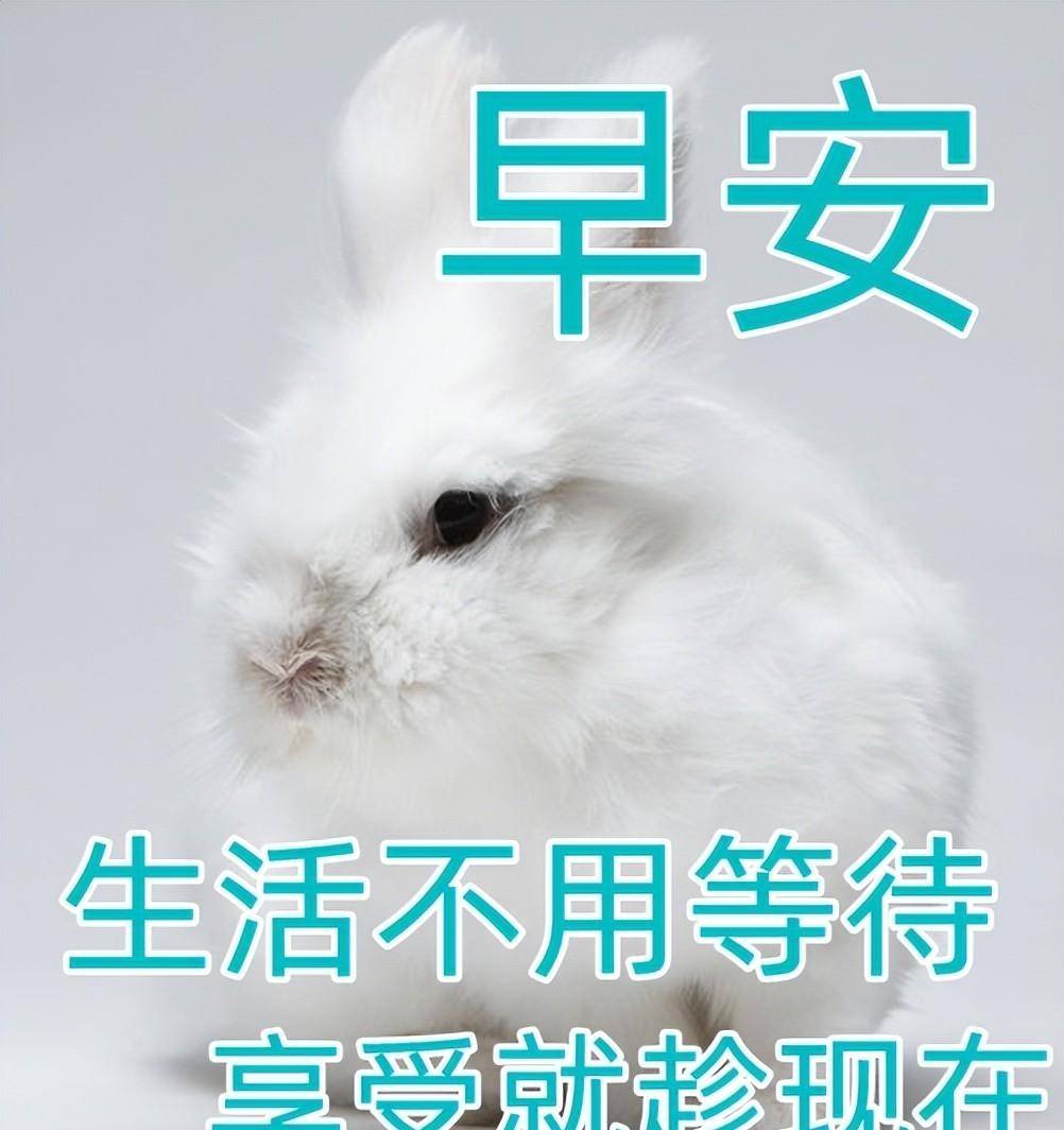 1月13日特别漂亮早晨好动态图片 2023最新版早上好问候动态表情图