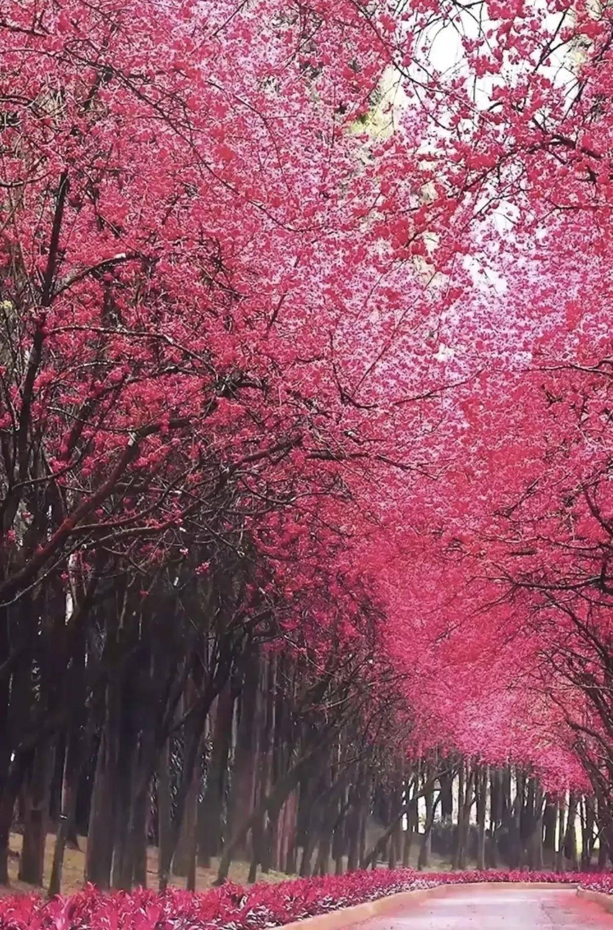 去有风的地方，去有云的地方(有风景的地方就有诗)