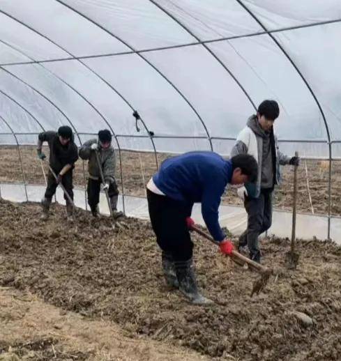 中国人实是把种地刻进骨子里，连综艺都起头种地了