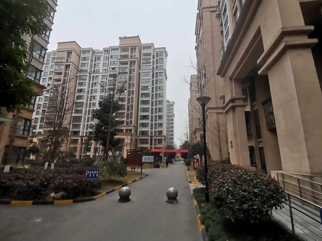 刚取证,总价31万起,双流现房,开冲!_项目_南园_户型