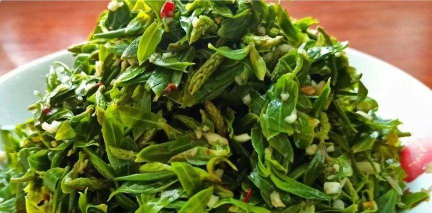 清血管,润肠道,现在吃正当季_野菜_柳絮_小时候