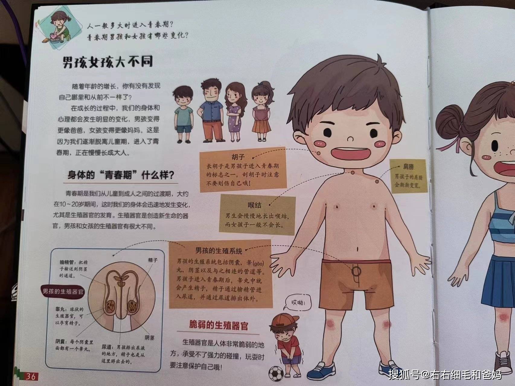 我回答孩子:"是的,这个蛋蛋和你的阴茎,就是你习惯叫小jj的地方,都是